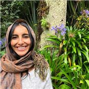 Hola! 
Offro lezione private online o in presenza ( a Pisa) di Spagnolo e cultura latina!